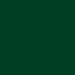 ral 6009 3